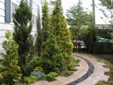 秦野 Ｙ邸4.JPG